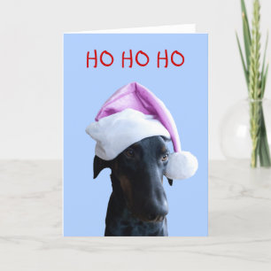 おもしろい犬（ピンクのサンタハットクリスマスカード付き） シーズンカード
