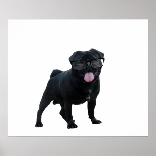 おもしろい犬 ポスター (正面)
