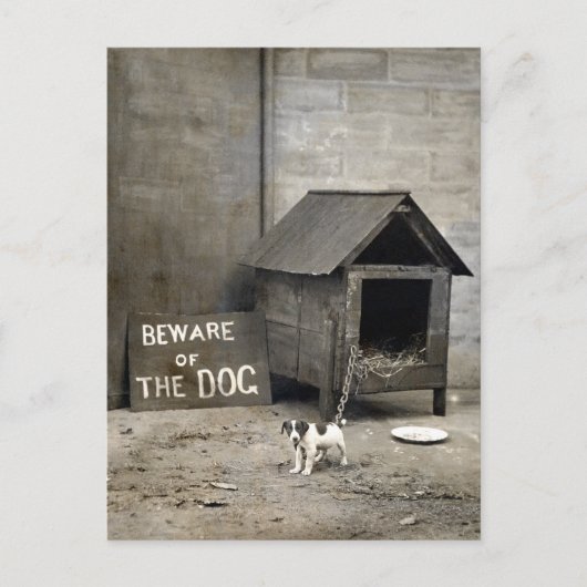 おもしろい犬 ポストカード (正面)