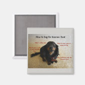 おもしろい犬 マグネット (正面/裏面)