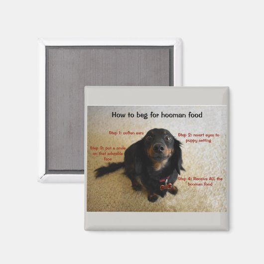 おもしろい犬 マグネット (正面/裏面)