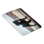 おもしろい犬 マグネット (右側)