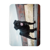 おもしろい犬 マグネット (縦)