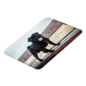 おもしろい犬 マグネット (左側)