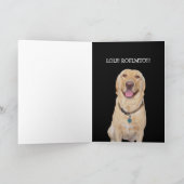 おもしろい犬/ラボ誕生日 カード (内部)