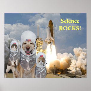おもしろい犬/猫宇宙飛行士科学ポスター ポスター