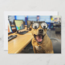 おもしろい犬Googly Eyes、カラフル、ハッピーフォトカード