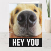 おもしろい犬HELLO ANYTIME GREETINGカード カード (正面)