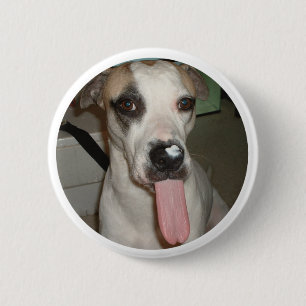 おもしろい犬PIN 缶バッジ