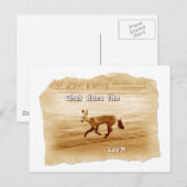 おもしろい狐の言う事 ポストカード (正面/裏面)