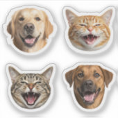 おもしろい猫と犬の顔の写真カスタム付き シール (正面)