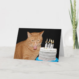 おもしろい猫の誕生日 カード