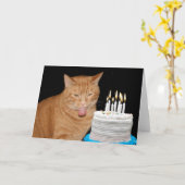 おもしろい猫の誕生日 カード (黄色い花)