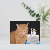おもしろい猫の誕生日 ポストカード (スタンド正面)