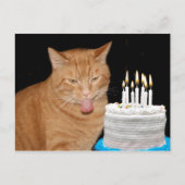 おもしろい猫の誕生日 ポストカード (正面)