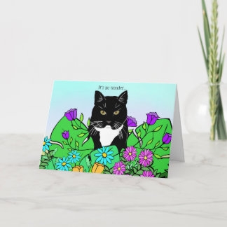 おもしろい猫好き誕生日カード カード