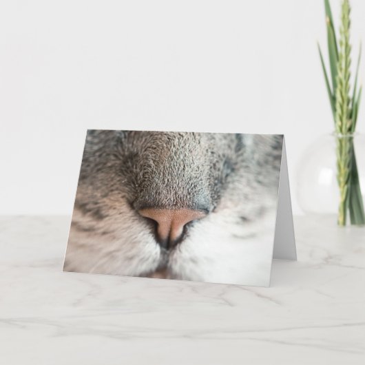 おもしろい猫好き誕生日プンカード カード (正面)