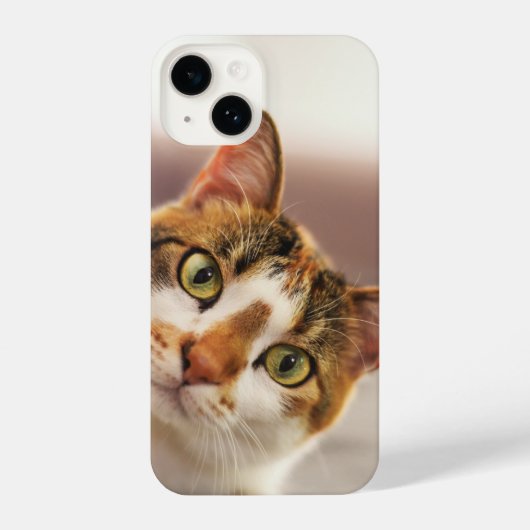 おもしろい猫猫ペット iPhoneケース (裏面)
