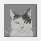 おもしろい猫磁石 マグネット (正面)