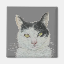 おもしろい猫磁石 マグネット