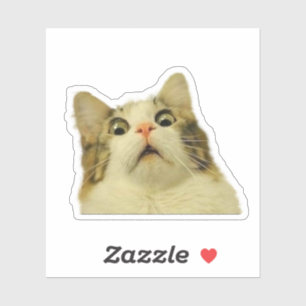 おもしろい猫 シール