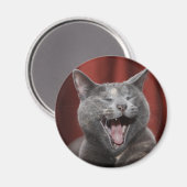 おもしろい猫 マグネット (正面/裏面)