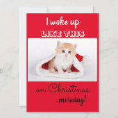 おもしろい猫 私はこんな風に目覚めた クリスマス (正面)
