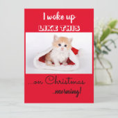 おもしろい猫 私はこんな風に起きた クリスマス (スタンド正面)