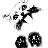 おもしろい猫 Tシャツ