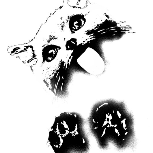 おもしろい猫 Tシャツ