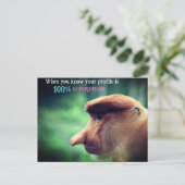 おもしろい猿 シーズンポストカード (スタンド正面)