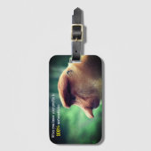 おもしろい猿 ラゲッジタグ (正面縦)