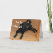 おもしろい獣医の卒業式おめでとう カード (正面)