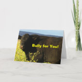 おもしろい獣医卒業おめでとうランチファームブル カード (正面)