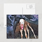 おもしろい生まれたばかりの群 ポストカード (正面/裏面)