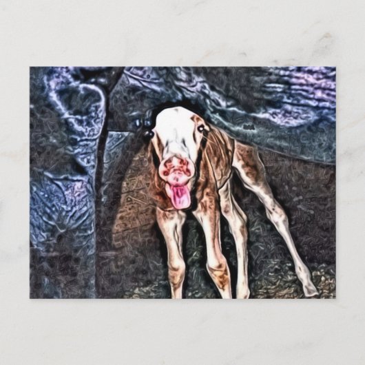 おもしろい生まれたばかりの群 ポストカード (正面)