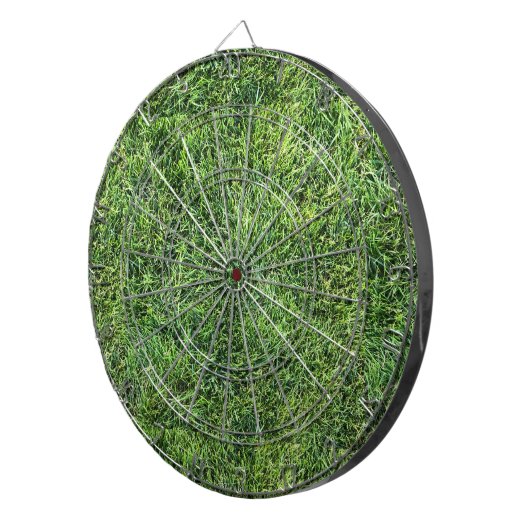 おもしろい生草の質感実在光おもしろい ダーツボード (正面右)