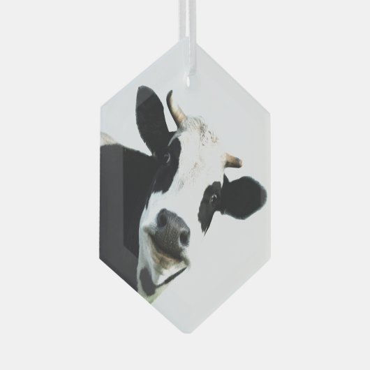おもしろい白黒牛ファーム動物のユーモア ガラスオーナメント (正面右)