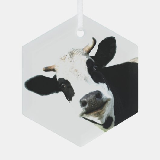 おもしろい白黒牛ファーム動物のユーモア ガラスオーナメント (裏面)