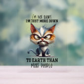 おもしろい皮肉な猫語アート アクリルサイン (ニュートラル)