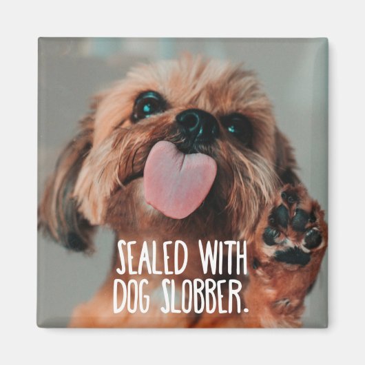 おもしろい磁石 マグネット (正面)