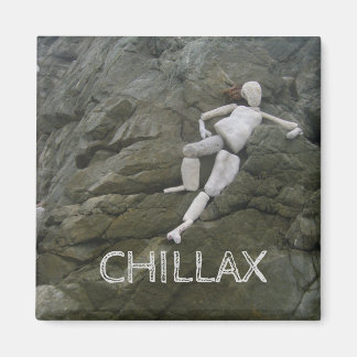 おもしろい磁石 マグネット