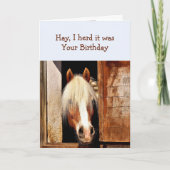 おもしろい私は、それはあなたの誕生日馬のぞき見ていた カード (正面)