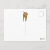 おもしろい笑い馬 – はがき (裏面)