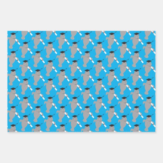 おもしろい管理卒業 ラッピングペーパーシート (正面3)