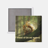 おもしろい素晴らしいリス/赤リスの友人 マグネット (正面/裏面)