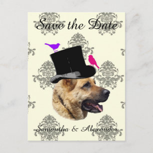 おもしろい結婚の新郎の犬が日付を保存する 案内ポストカード