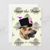 おもしろい結婚の新郎の犬が日付を保存する 案内ポストカード (正面/裏面)