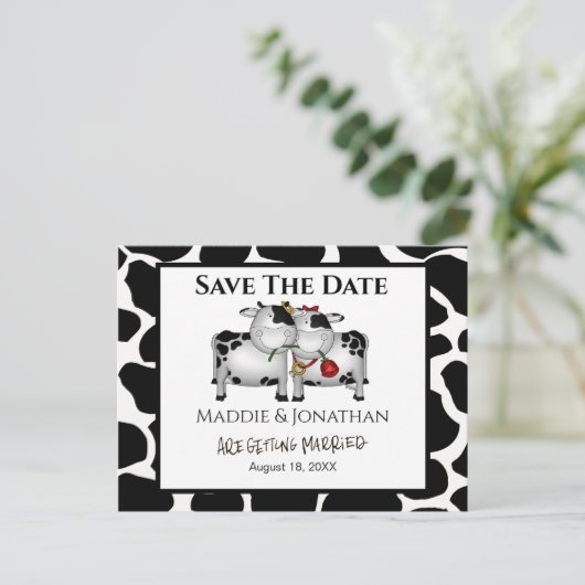 おもしろい結婚の牛が日付はがきを保存 案内ポストカード (スタンド正面)
