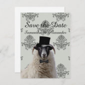 おもしろい結婚新郎の羊 案内ポストカード (正面/裏面)